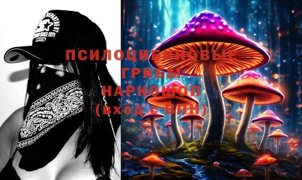 метадон Белокуриха
