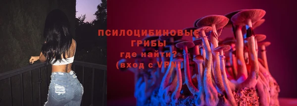 гашик Белоозёрский