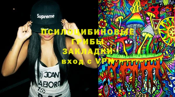 гашик Белоозёрский