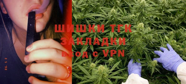 гашик Белоозёрский