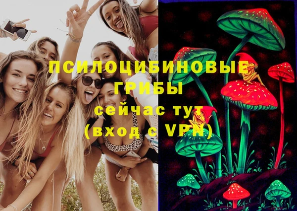 метадон Белокуриха