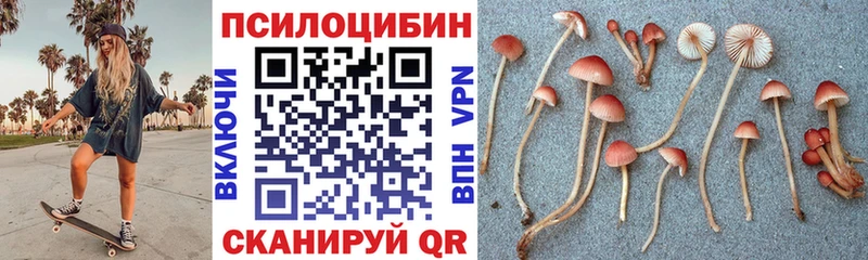 Галлюциногенные грибы Psilocybine cubensis  что такое наркотик  Улан-Удэ 